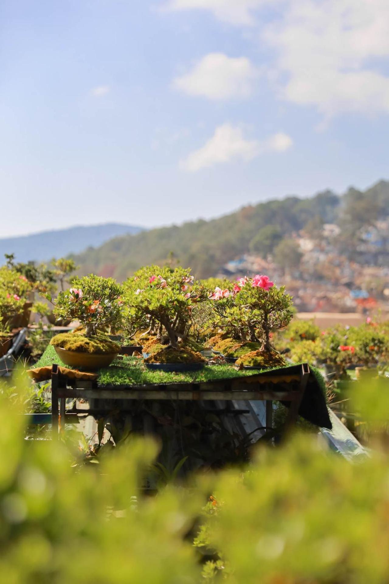 Ziczac Homestay Dalat Bagian luar foto