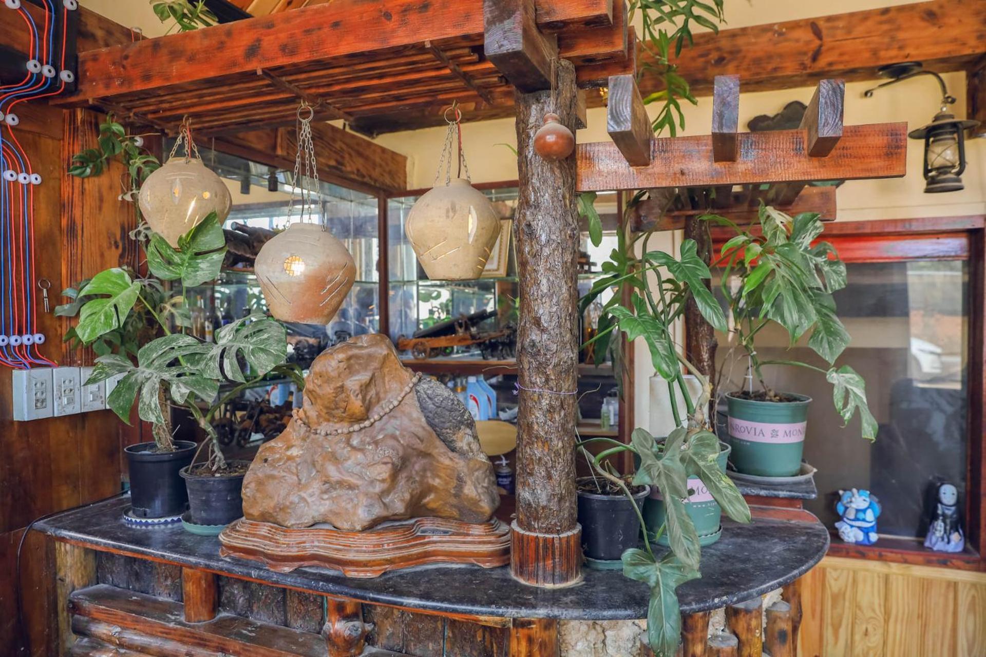 Ziczac Homestay Dalat Bagian luar foto